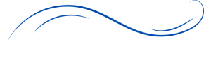 Ornament line3